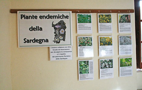 Mostra Fotografica Flora di Sadegna 2009