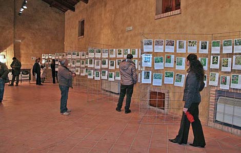 Quartucciu (CA) - Ex Casa Angioni, Mostra fotografica (novembre 2007)