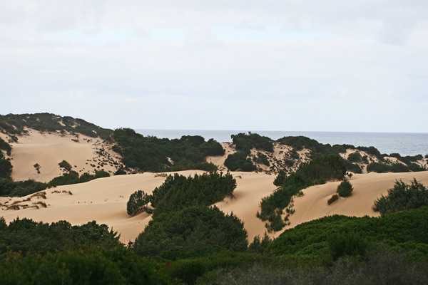 Arbus (VS), dune di Piscinas 