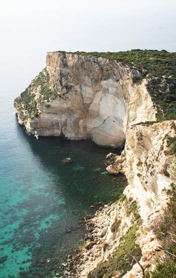 Cagliari, insenatura calcarea della Grotta dei Colombi 