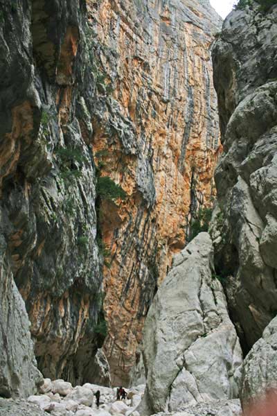 Scorcio del Canyon Gorropu, ricadente nei comuni di Urzulei e Orgosolo (NU)